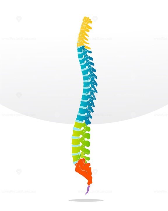 BackBone BackBoneSimple