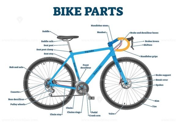 Bike parts labeled vector illustration diagram - VectorMine