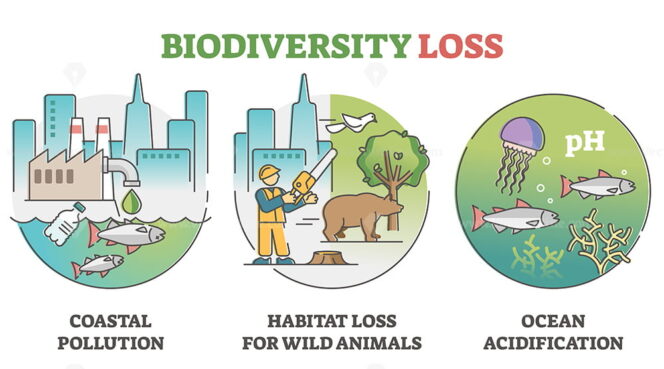 Biodiversity loss issues and causes as climate ecosystem problem ...