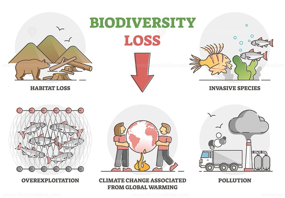 Biodiversity loss issues and causes as climate ecosystem problem