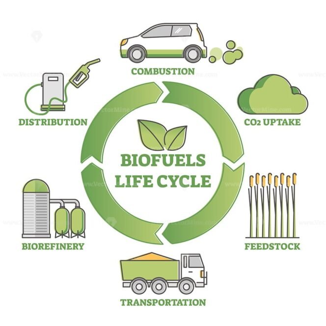 Biofuel life cycle diagram as production, consumption process outline