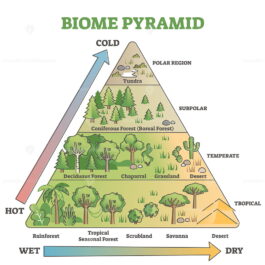 Biome pyramid as ecological weather or climate classification outline ...