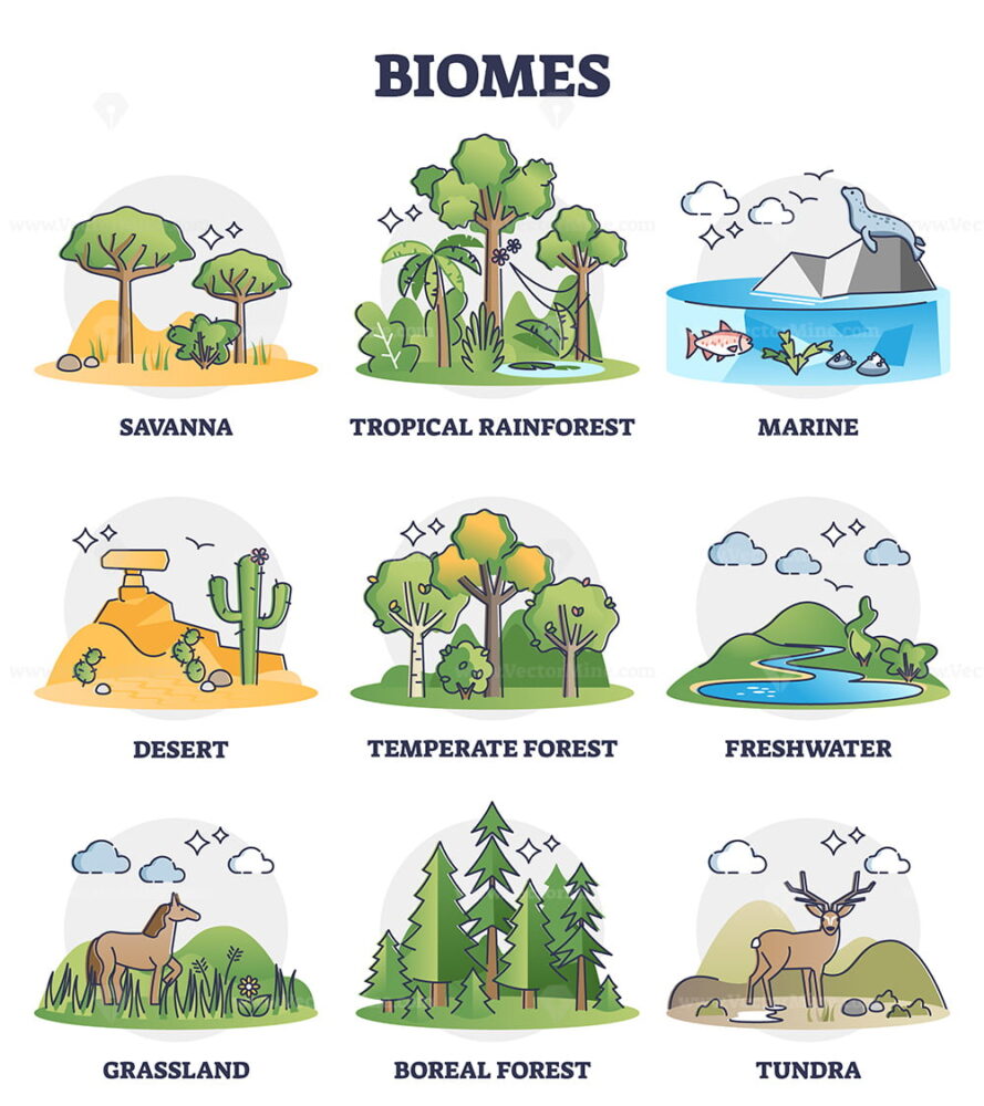 Types of habitats and various ecosystems collection in pie outline ...