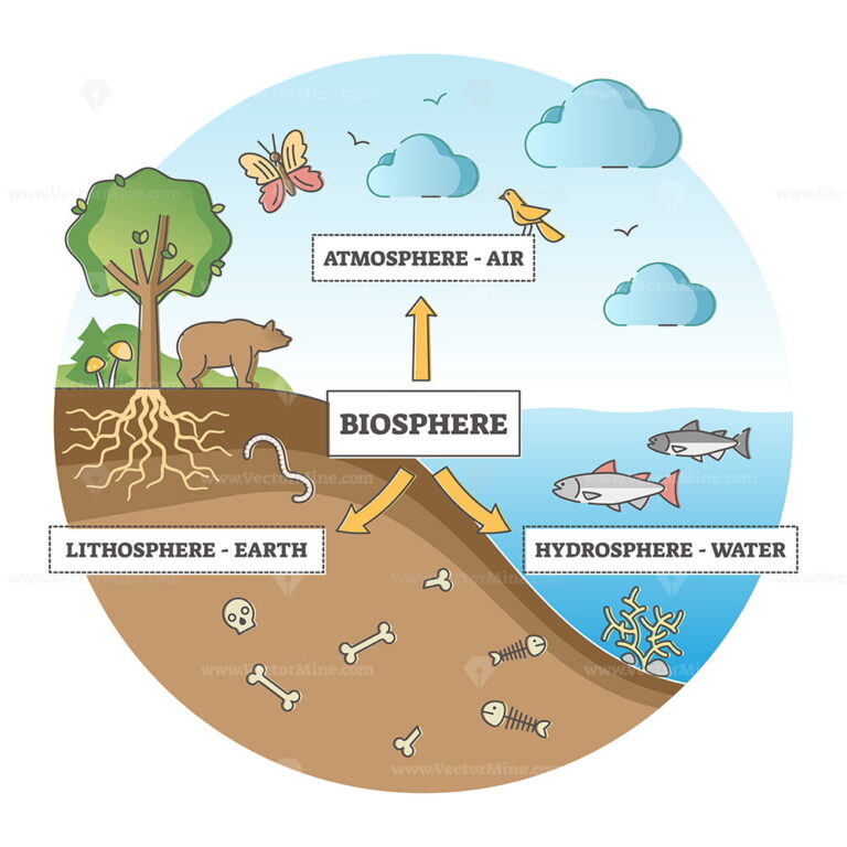 Biosphere division with labeled ecosystem explanation scheme outline ...