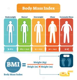 Body mass index table with BMI formula example - VectorMine