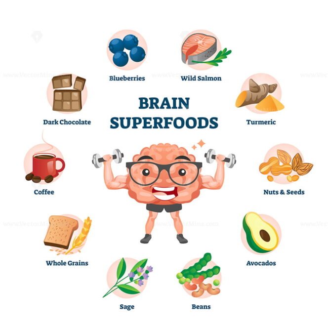 Brain super foods as nutrition products for improving memory and ...