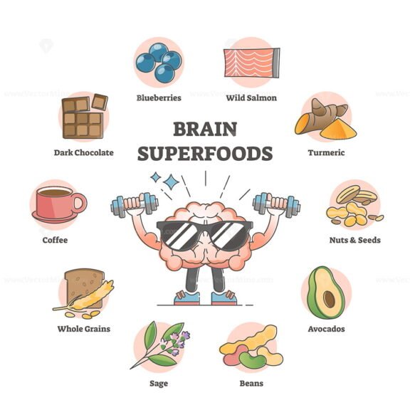 Brain superfoods as nutrition diet products to improve memory outline ...