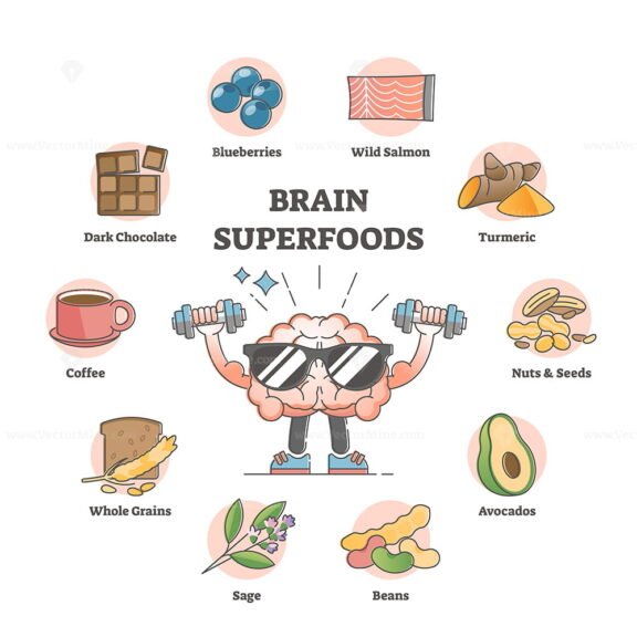 Brain Superfoods outline