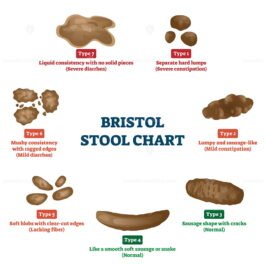 Bristol Stool Chart, 7 Types - Simple High Resolution Image