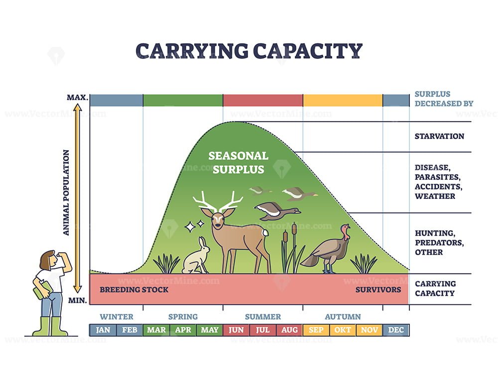 Carrying capacity as reproduction level with seasonal surplus outline