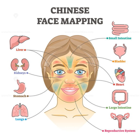 Chinese face mapping as alternative medicine health diagnosis outline diagram