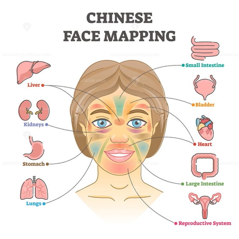 Chinese face mapping as alternative medicine health diagnosis outline