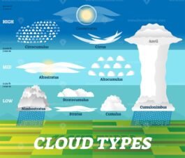 Cloud types vector illustration – VectorMine