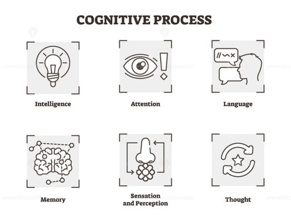 Cognitive Process