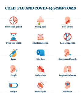 FREE Cold, flu and Covid-19 disease symptoms collection list vector ...