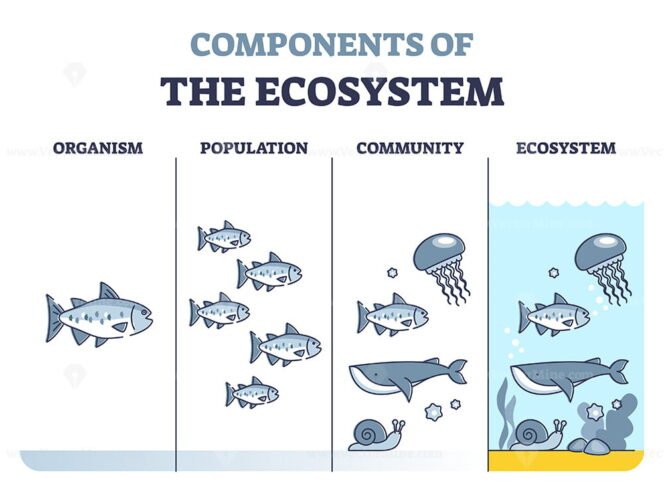 what-is-an-ecologist-becoming-an-ecologist-education-salary-youtube