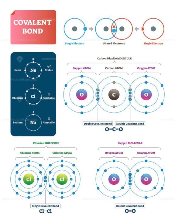 Covalent bond vector illustration