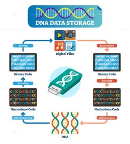 DNA data storage infographic vector illustration - VectorMine