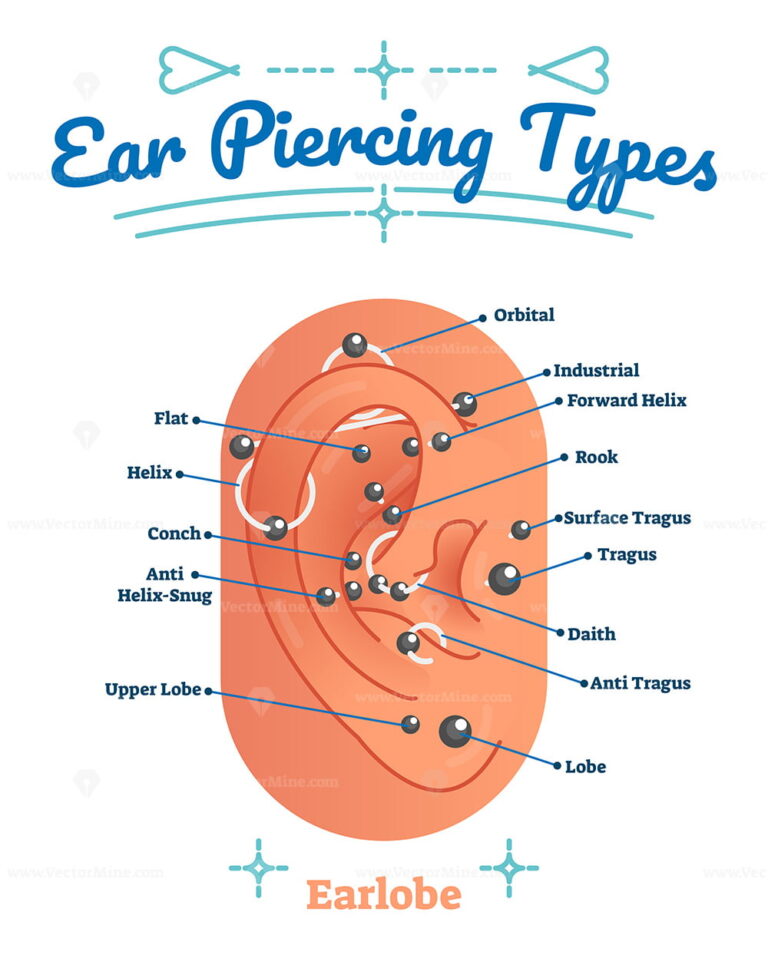 Beauty and fashion medical vector illustration diagram with types of ...