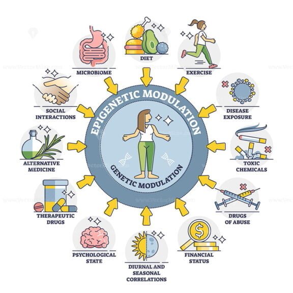 Epigenetic Modulation outline