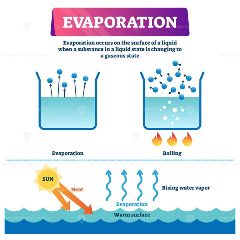 Evaporation vector illustration VectorMine