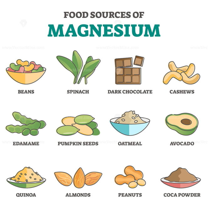 Food sources of magnesium as products for healthy eating outline ...