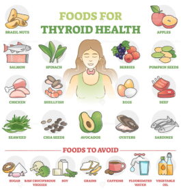 Foods for thyroid health as good products choice for wellness outline ...