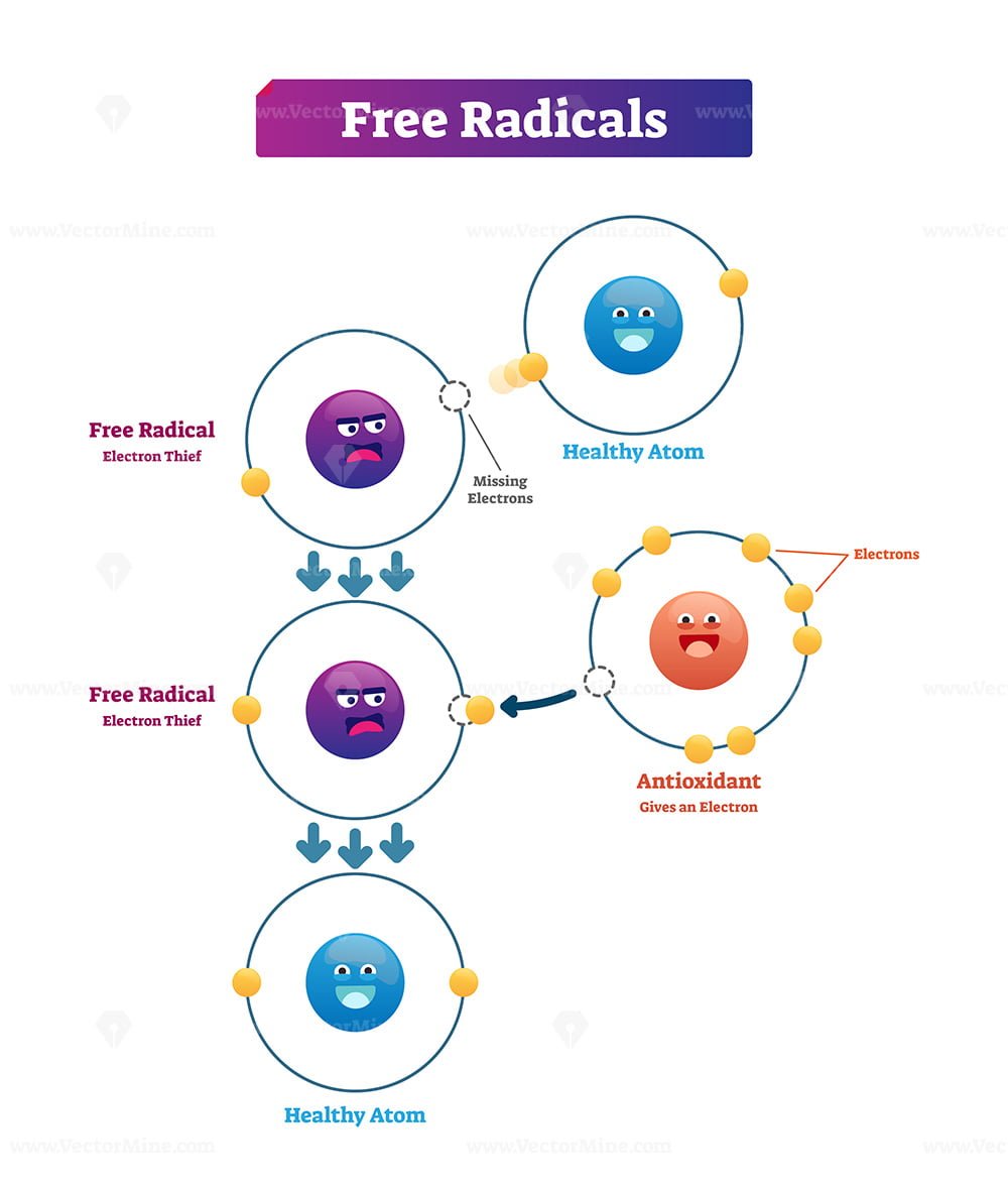 presentation of free radicals