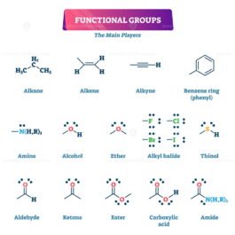 Functional groups vector illustration – VectorMine