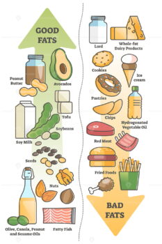 Good fats vs bad food for healthy diet and nutritious meal outline ...