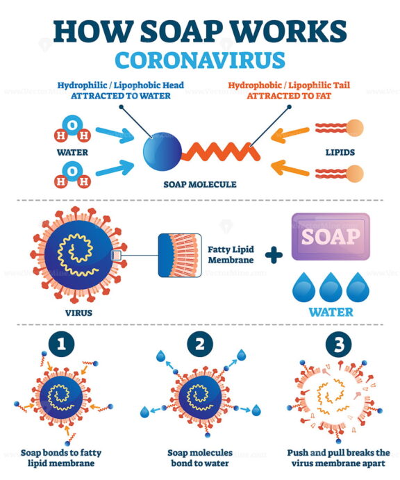 Hand washing with soap to fight coronavirus Covid-19 vector illustration