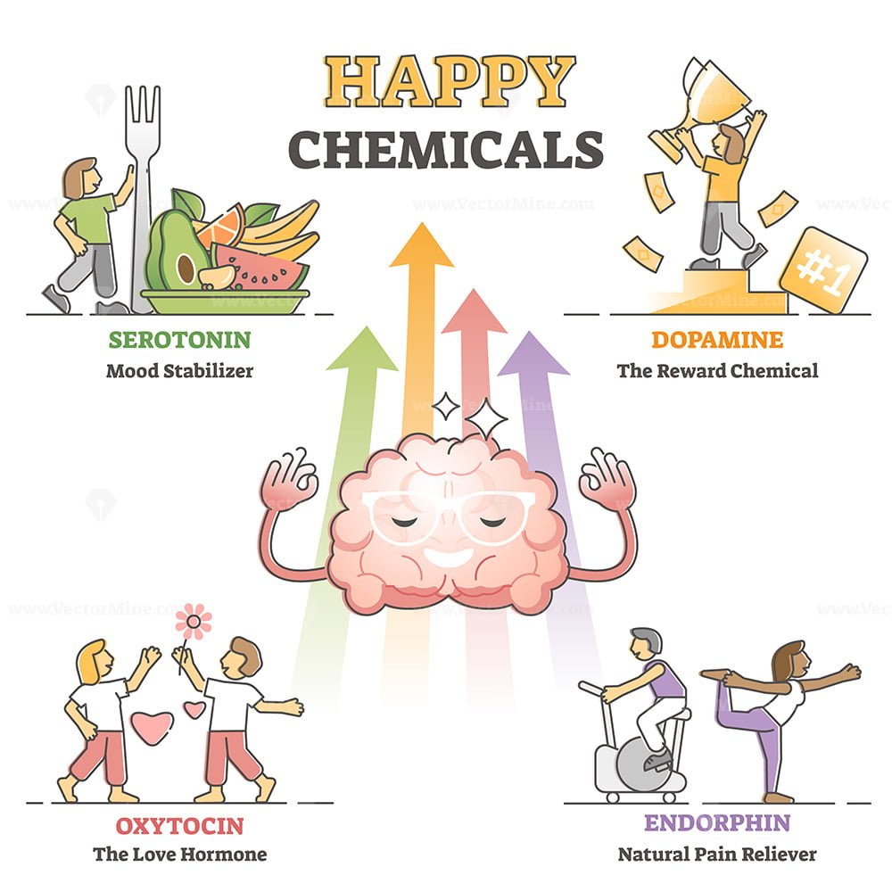 Happy chemicals as good and positive mood hormonal causes outline