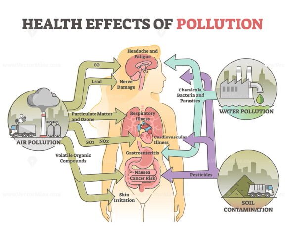 Health Effects of Pollution outline