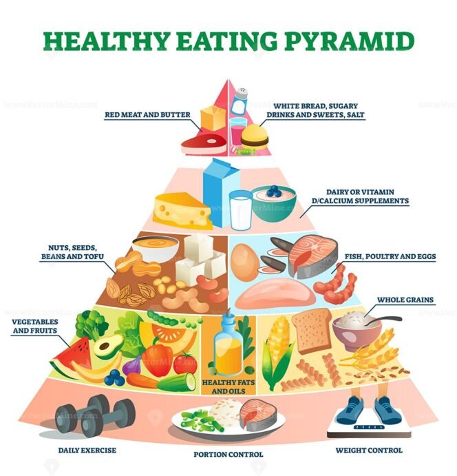 Healthy eating pyramid vector illustration – VectorMine