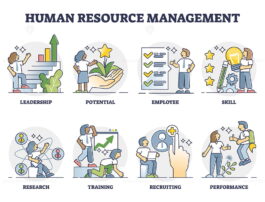 Human resource management with employee job research outline collection ...