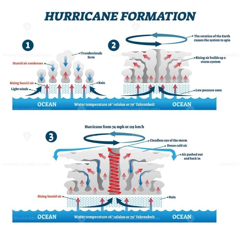 Hurricane formation labeled vector illustration VectorMine
