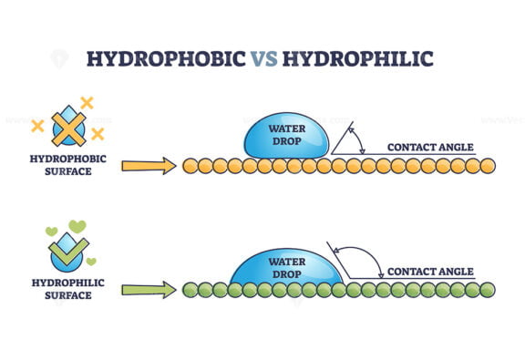 Hydrophobic vs Hydrophilic outline diagram