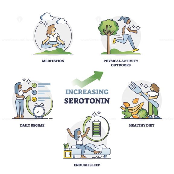 Increasing Serotonin outline set