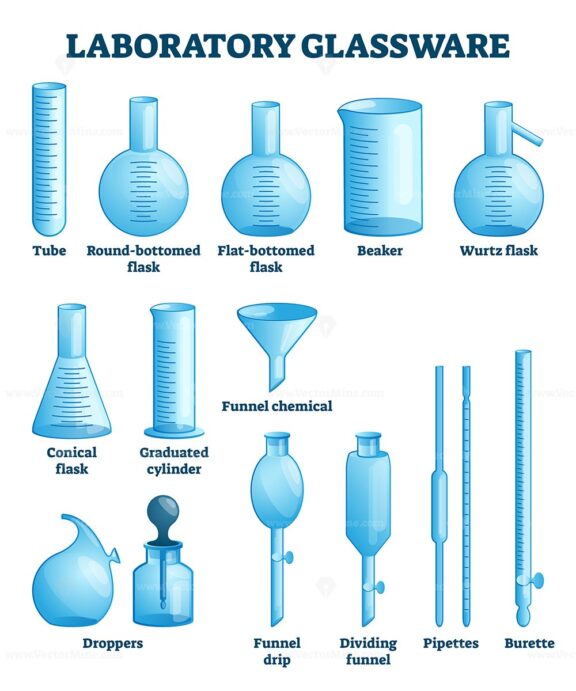 Laboratory glassware vector illustration