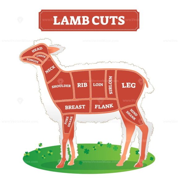 Lamb Cuts 2