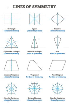 Lines of symmetry guide, vector illustration collection - VectorMine