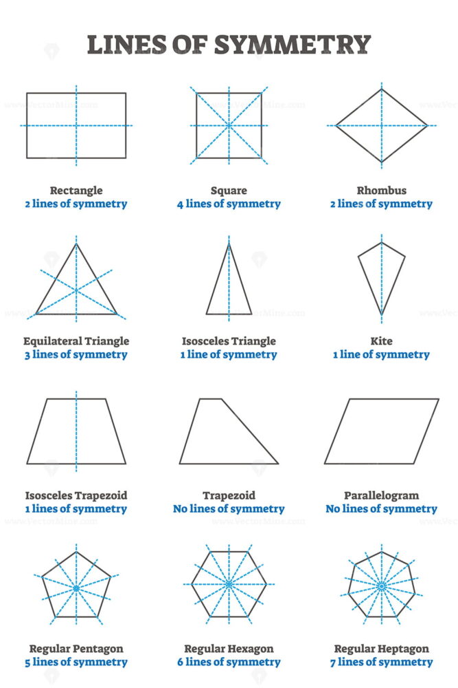 Lines of symmetry guide, vector illustration collection - VectorMine