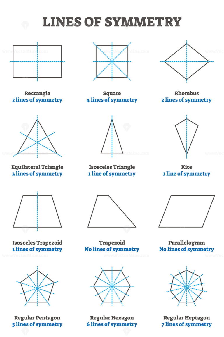 Lines of symmetry guide, vector illustration collection – VectorMine