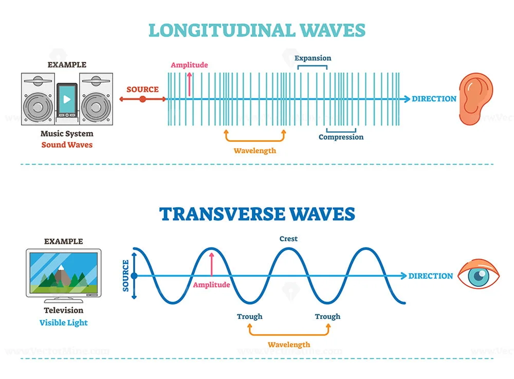 Types of longitudinal, transverse and surface waves examples outline