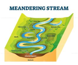 Meandering stream vector illustration - VectorMine