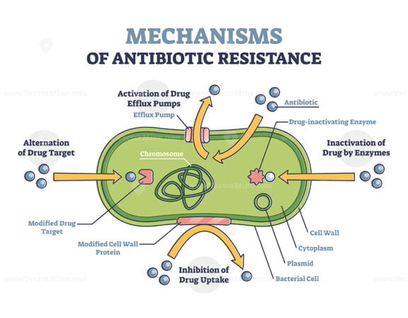 Antibiotic resistance outline diagram, illustrated mechanism in ...