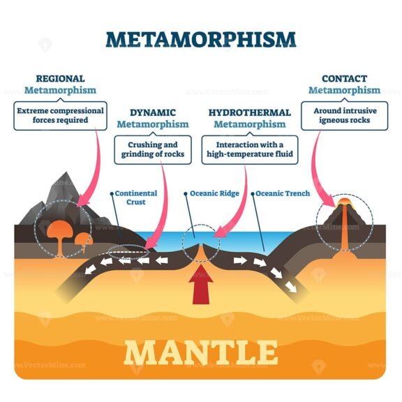 Metamorphism