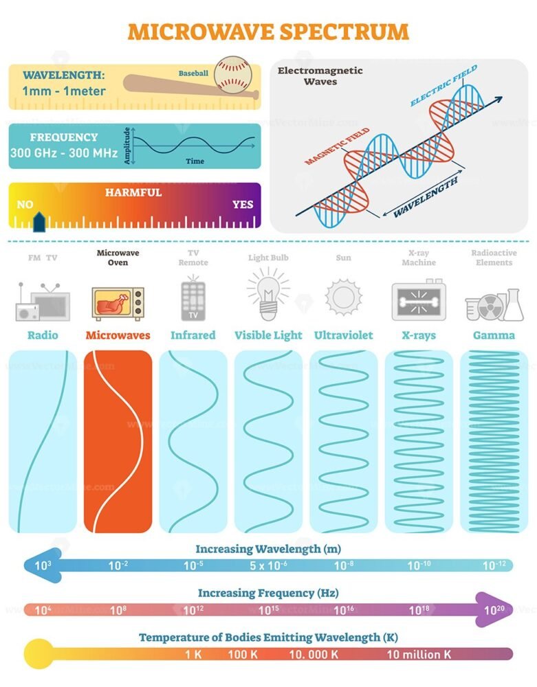 Electromagnetic Waves: Microwave Spectrum – VectorMine