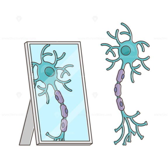 Mirror Neuron Outline