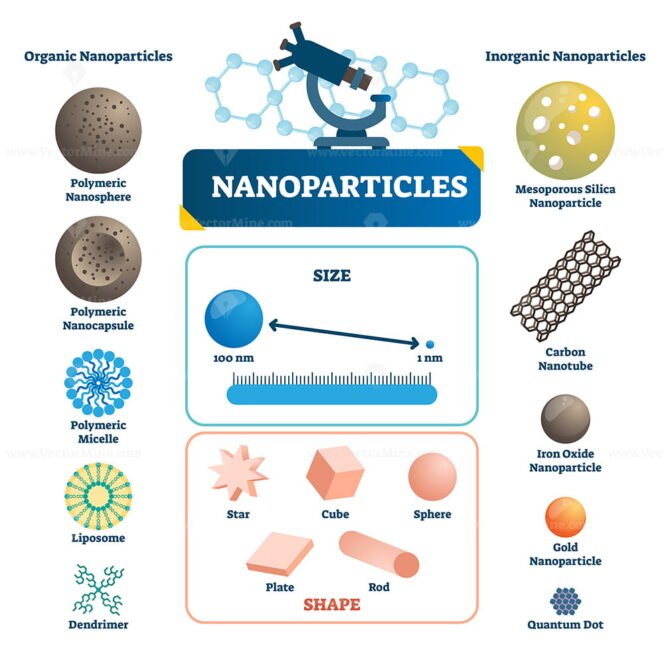 Nanoparticles Labeled Infographic - VectorMine